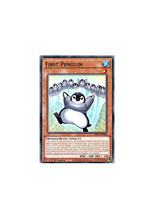 First Penguin