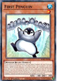 First Penguin