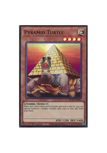 Pyramid Turtle