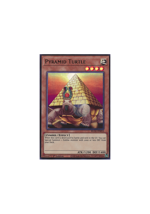 Pyramid Turtle