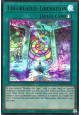Theorealize Liberation