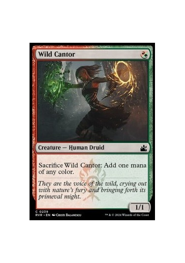 Wild Cantor