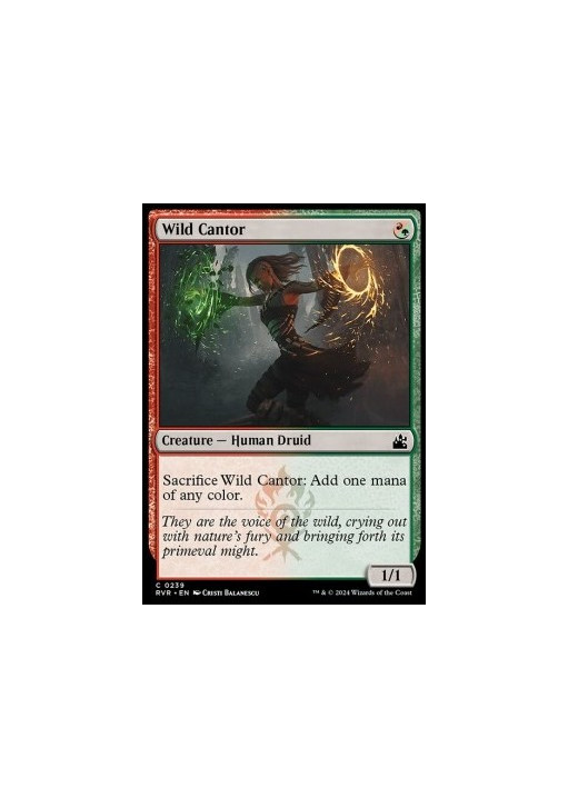 Wild Cantor