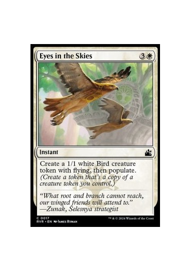 Eyes in the Skies