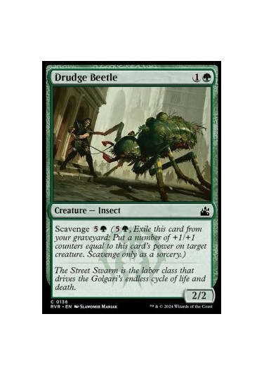 Drudge Beetle
