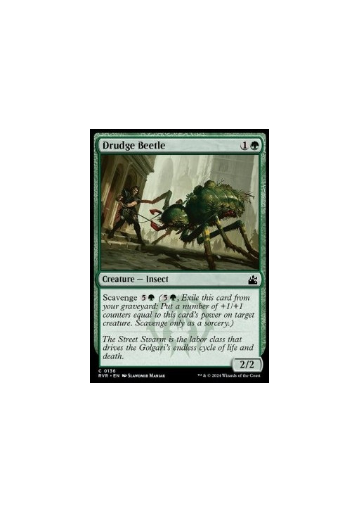Drudge Beetle