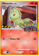 Ninetales Lv.42  (RM 3)