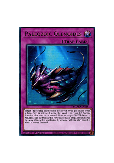 Paleozoic Olenoides