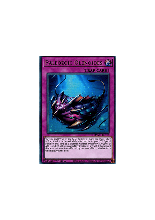 Paleozoic Olenoides