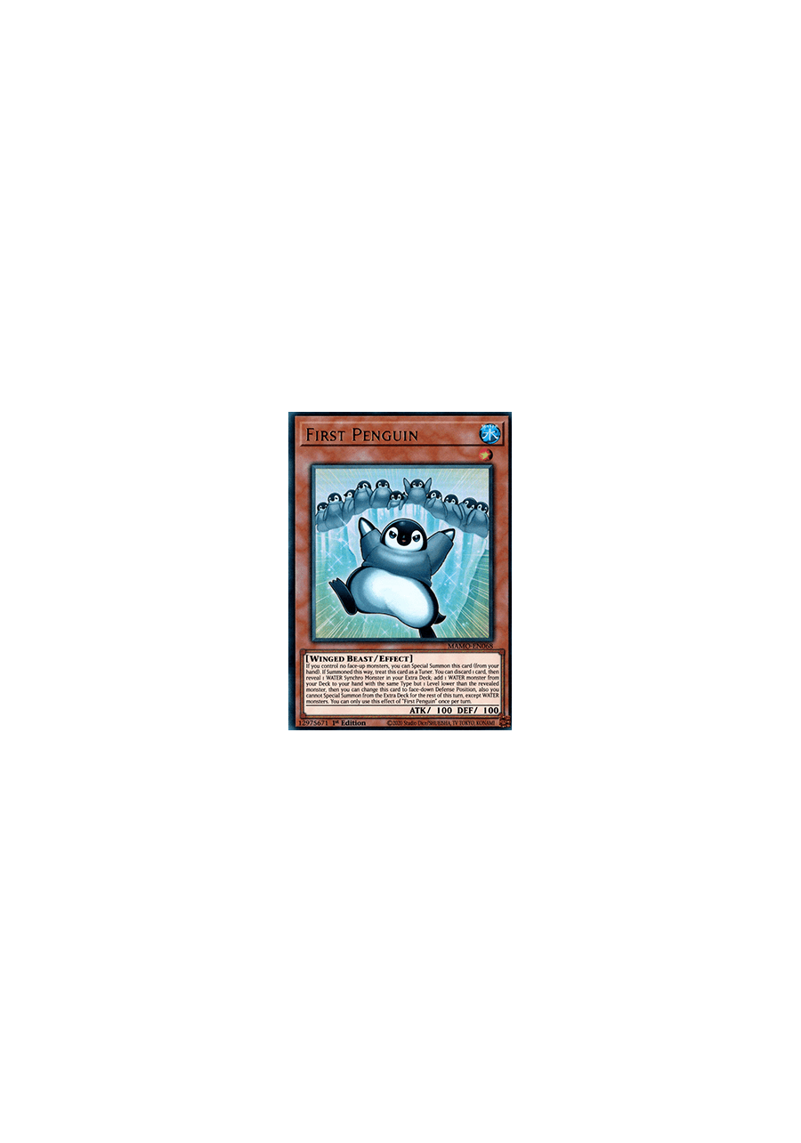 First Penguin