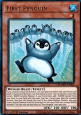 First Penguin